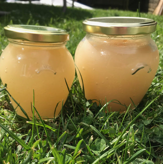 Two glass jars filled with a pale golden St Lucia Sea Moss, sealed with gold metal lids.